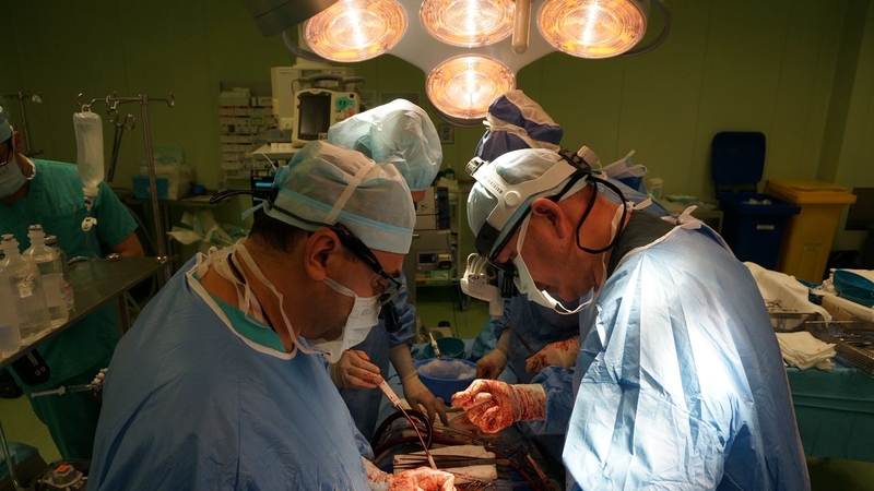 WhatsApp Image 2025-12-11 at 15.51.27.jpeg