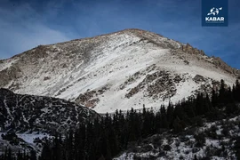 WhatsApp Image 2025-12-15 at 20.07.24 (5).jpeg