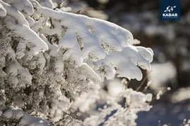 WhatsApp Image 2025-12-15 at 20.07.24 (1).jpeg