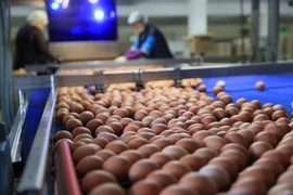 WhatsApp Image 2025-12-16 at 11.59.12 (1).jpeg