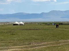 WhatsApp Image 2025-12-19 at 15.11.43.jpeg