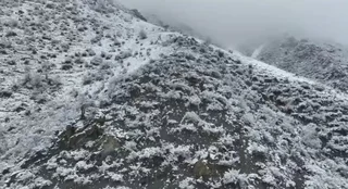 WhatsApp Image 2025-12-21 at 22.17.27.jpeg