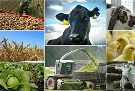 WhatsApp Image 2025-12-23 at 10.20.19.jpeg