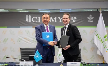 Тюркские государства и CIMMYT объединяют усилия ради инновационного агросектора