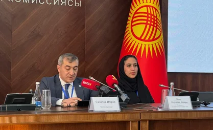 Нарушений, влияющих на ход выборов, не выявлено - делегация ОИС