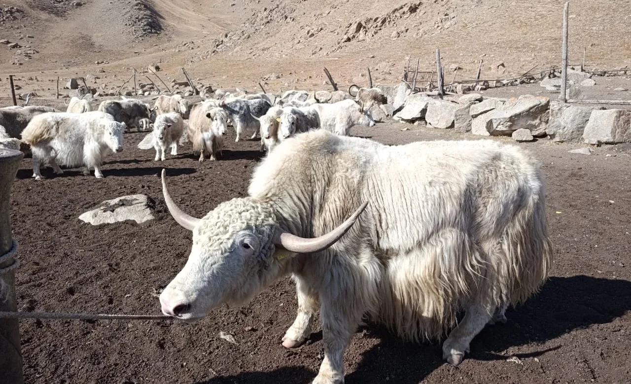 WhatsApp_Image_2025-11-10_at__ThisERx.max-1920x1080.format-webp (1).webp