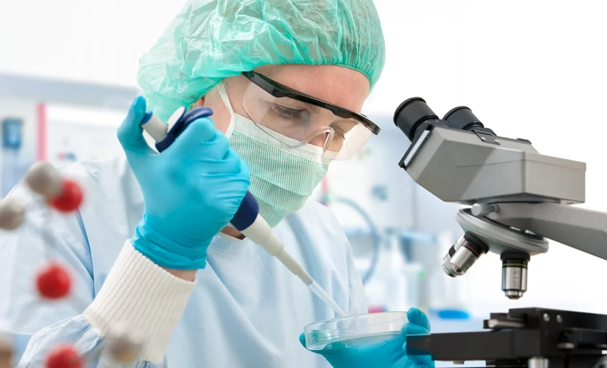 WhatsApp Image 2025-12-01 at 15.01.32 (1).jpeg