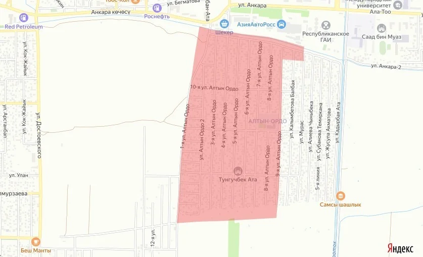 WhatsApp Image 2025-12-26 at 16.41.52.jpeg