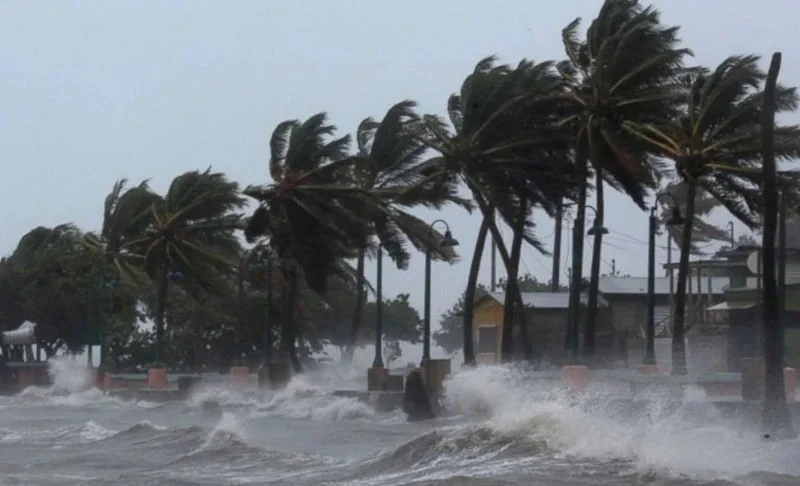 WhatsApp Image 2025-10-29 at 16.46.26.jpeg