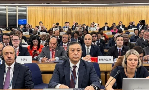 WhatsApp Image 2025-12-02 at 17.43.22.jpeg