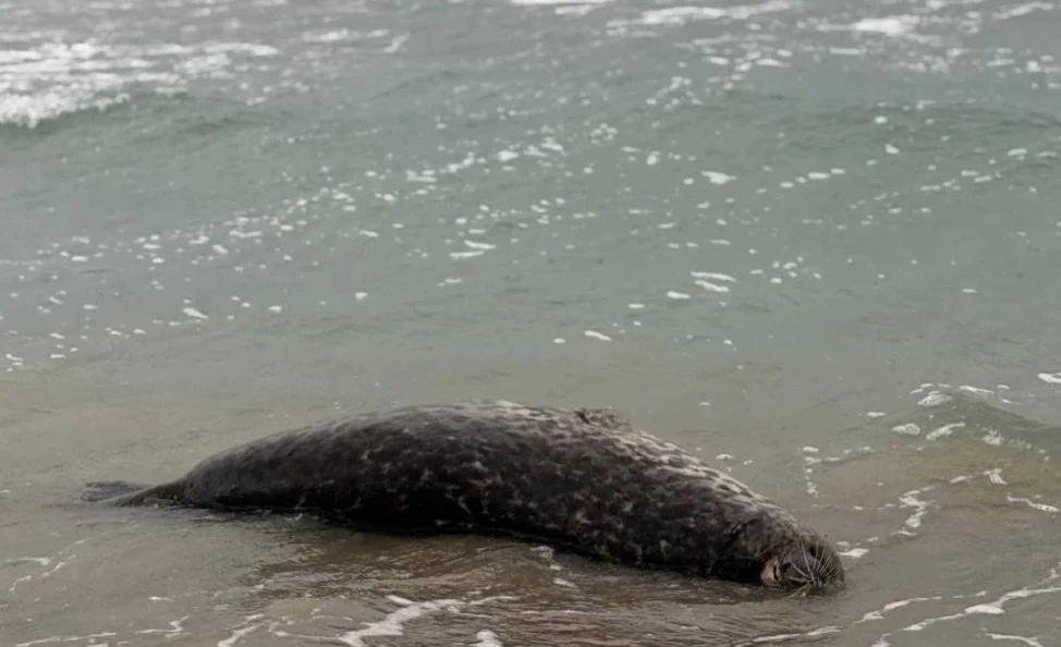 WhatsApp Image 2025-11-03 at 19.08.05.jpeg