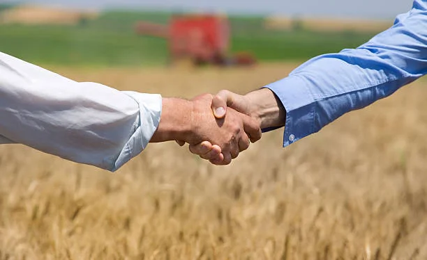 WhatsApp Image 2025-09-22 at 16.07.34.jpeg