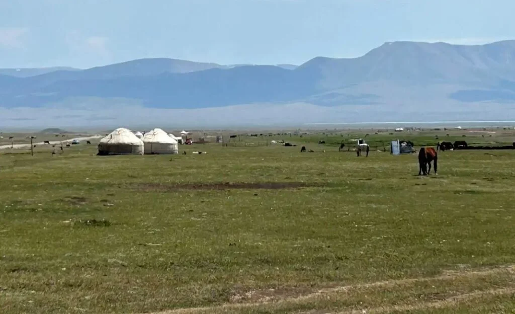 WhatsApp Image 2025-12-19 at 15.11.43.jpeg