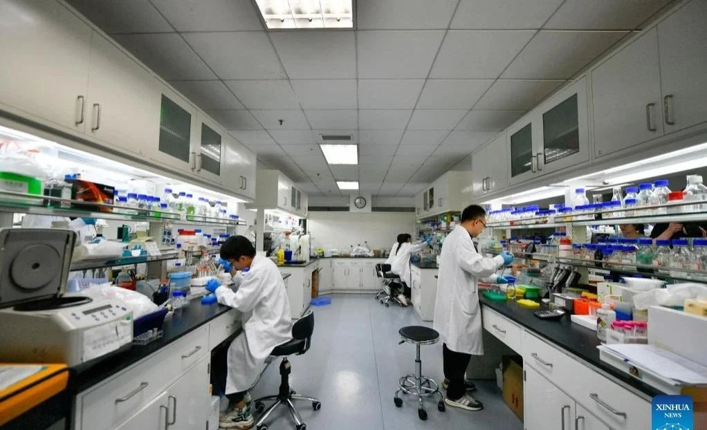 WhatsApp Image 2025-11-09 at 21.54.29.jpeg