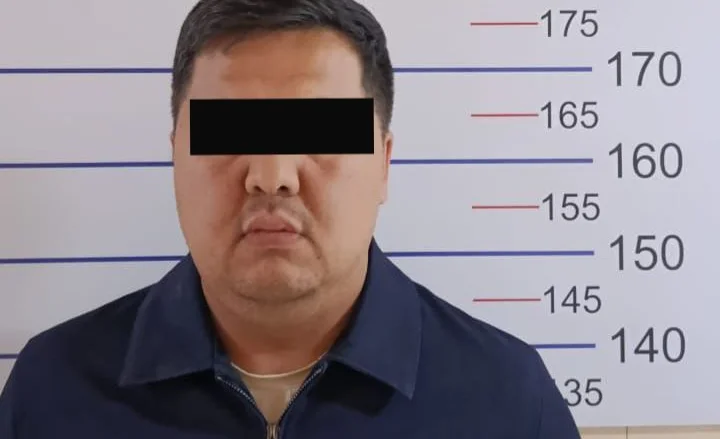 WhatsApp Image 2025-11-13 at 11.37.43.jpeg