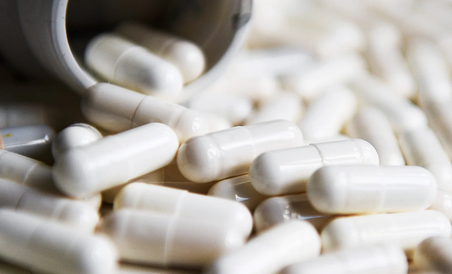 WhatsApp Image 2025-11-10 at 22.57.03.jpeg