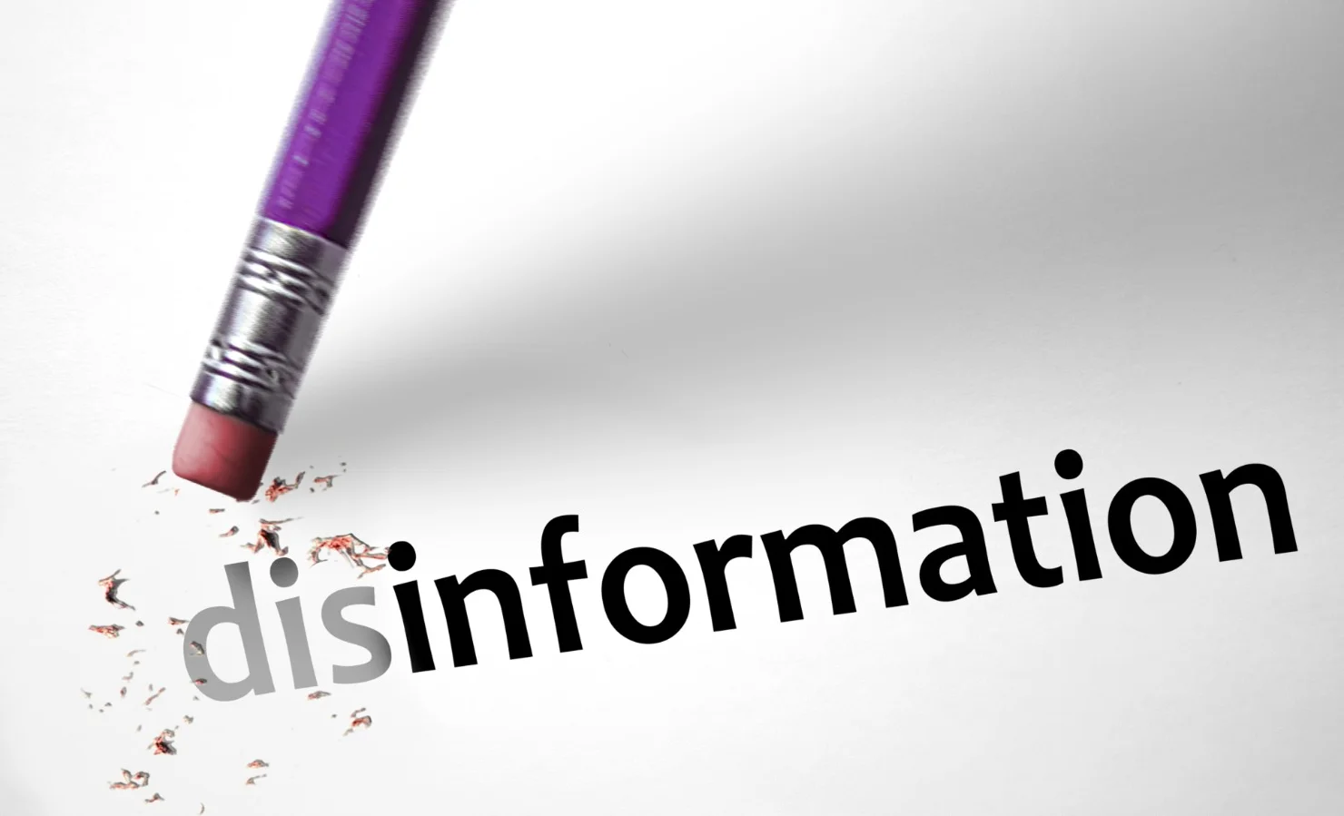 WhatsApp Image 2025-11-20 at 15.55.26.jpeg