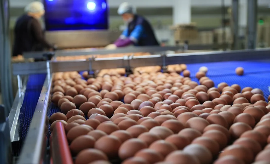 WhatsApp Image 2025-12-16 at 11.59.12 (1).jpeg