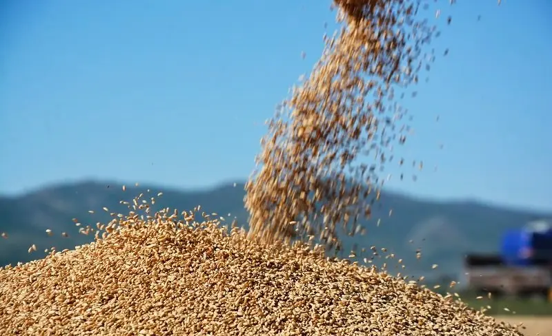 WhatsApp_Image_2025_TGHpriC.2e16d0ba.format-we.width-800