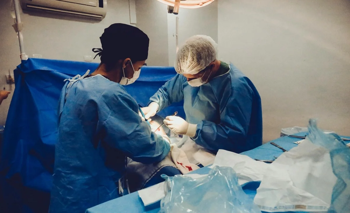 WhatsApp Image 2025-12-04 at 23.51.41.jpeg