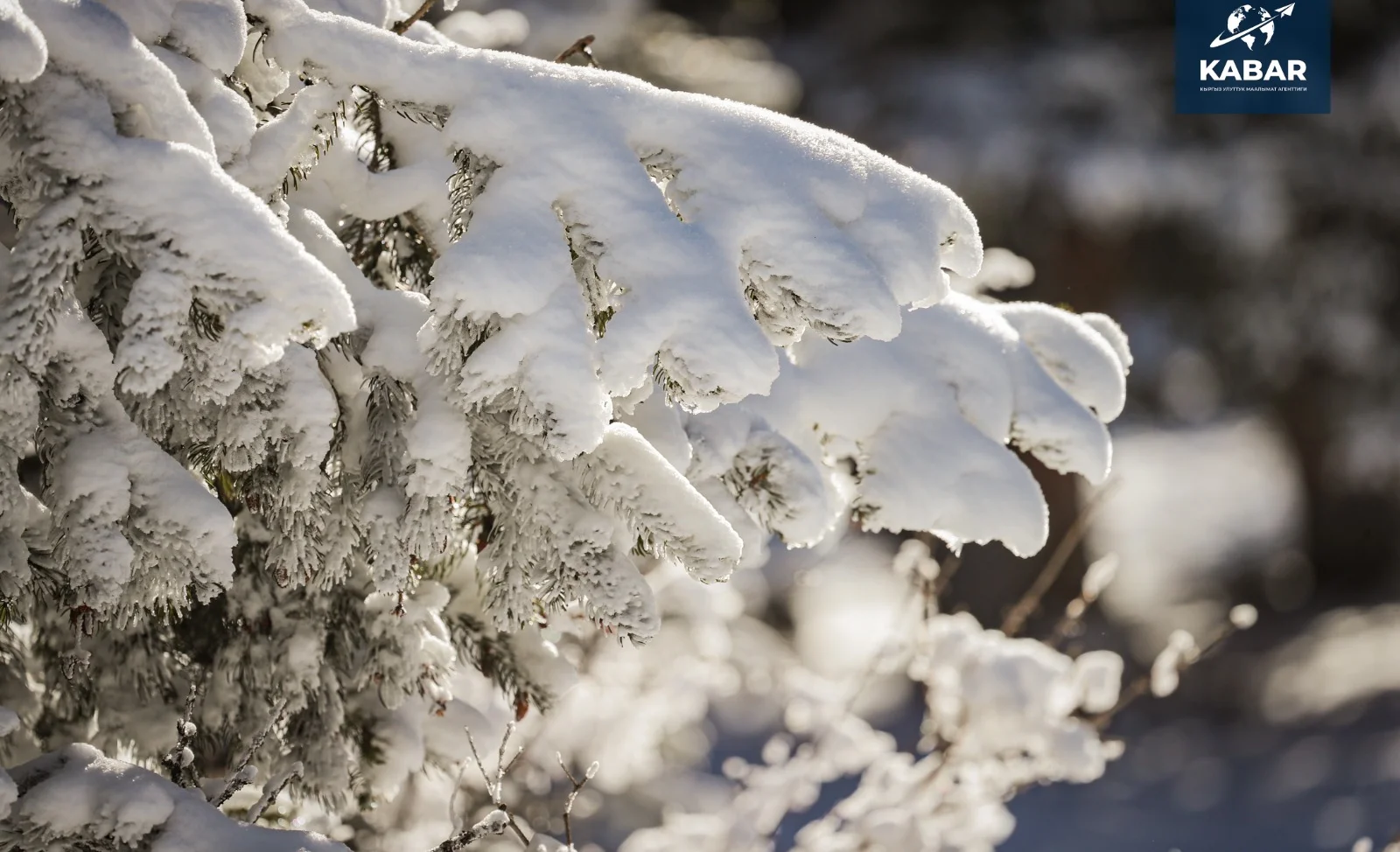 WhatsApp Image 2025-12-15 at 20.07.24 (1).jpeg