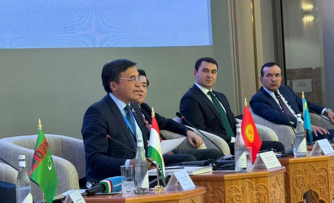 WhatsApp Image 2025-11-13 at 15.47.27.jpeg