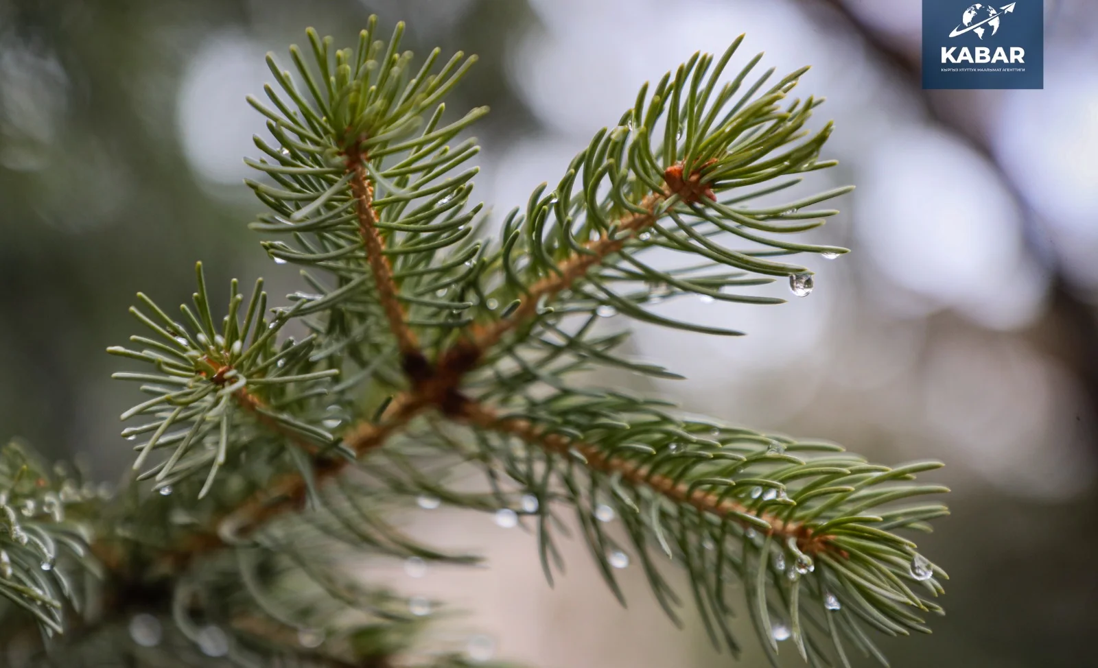 WhatsApp Image 2025-12-15 at 20.07.25 (7).jpeg