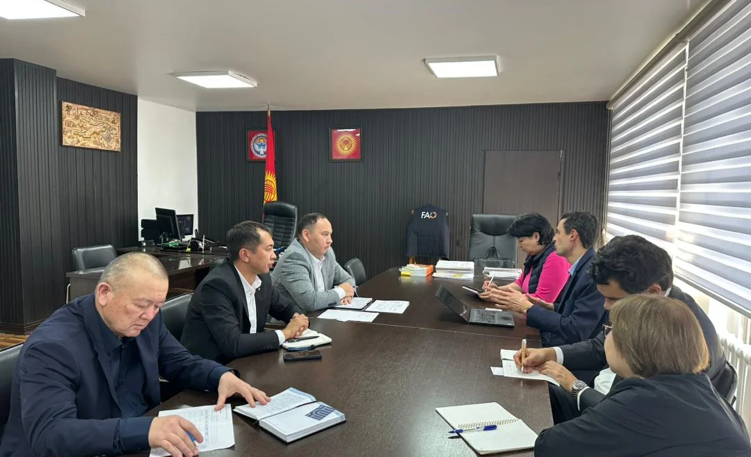 WhatsApp Image 2025-11-18 at 16.31.47.jpeg