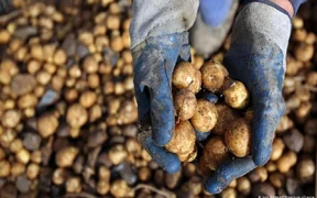 WhatsApp Image 2026-01-11 at 16.49.28.jpeg