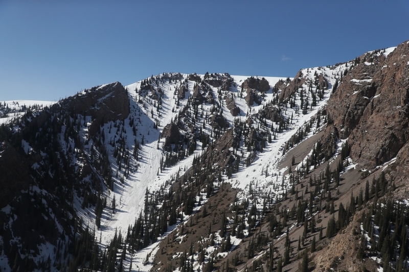 WhatsApp_Image_2026-01-16_at_16_KbRuaMo.19.30.width-800