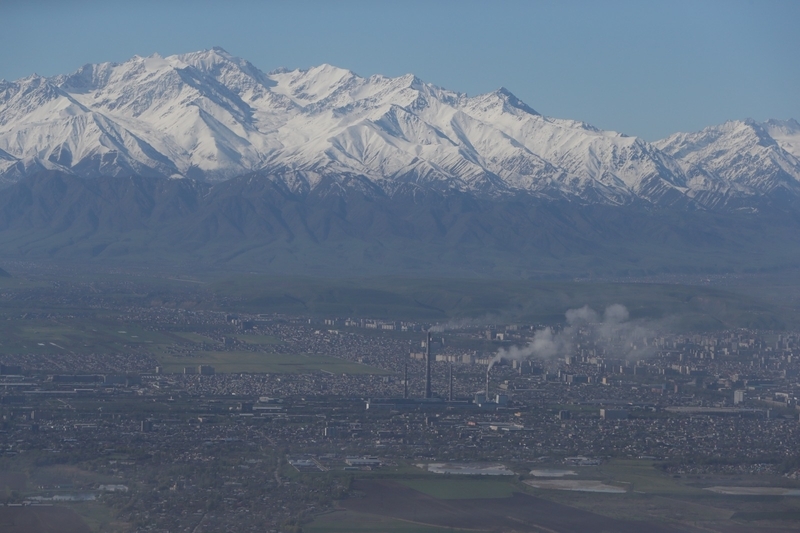 WhatsApp_Image_2026-01-16_at_16_TPvNIvr.19.31.width-800