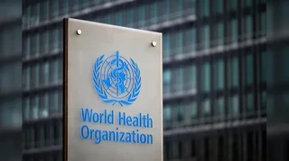 WhatsApp Image 2026-01-22 at 20.15.51.jpeg