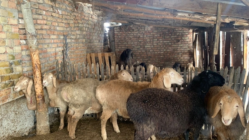 WhatsApp_Image_2026-01-23_at_16.52.16.width-800