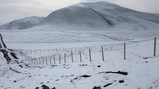 WhatsApp Image 2026-02-03 at 14.41.11 (1).jpeg