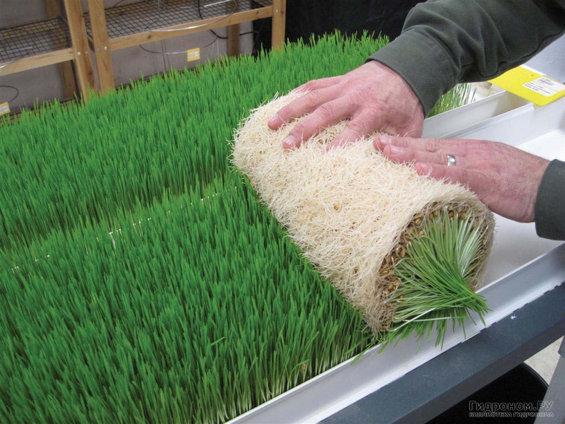 WhatsApp Image 2026-02-04 at 12.17.33 (1)