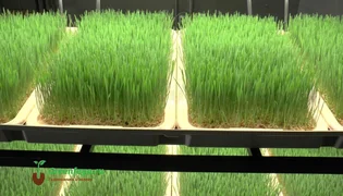 WhatsApp Image 2026-02-04 at 12.17.33.jpeg