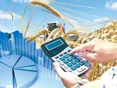 WhatsApp Image 2026-02-05 at 11.08.57.jpeg