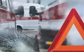 WhatsApp Image 2026-02-08 at 16.27.32.jpeg