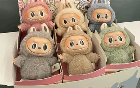 WhatsApp Image 2026-02-09 at 21.15.16.jpeg