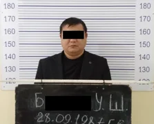 WhatsApp Image 2026-02-10 at 06.54.18.jpeg