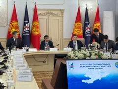 WhatsApp Image 2026-02-10 at 10.47.03.jpeg