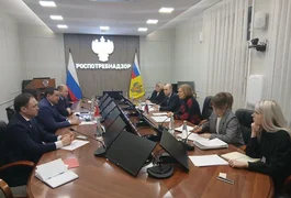 WhatsApp Image 2026-02-10 at 11.42.37.jpeg