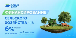 WhatsApp Image 2026-02-10 at 15.45.22.jpeg