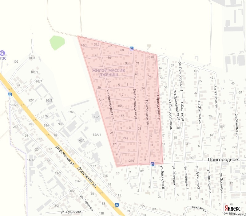 WhatsApp Image 2026-02-12 at 09.24.47