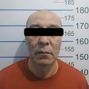 WhatsApp Image 2026-02-12 at 09.09.08.jpeg