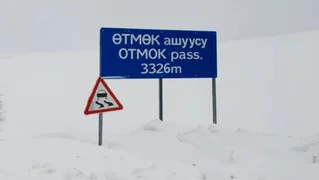 WhatsApp Image 2026-02-12 at 19.02.15.jpeg