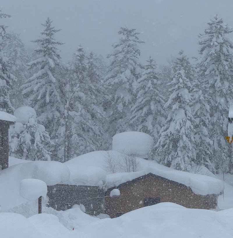 WhatsApp Image 2026-02-12 at 22.46.14