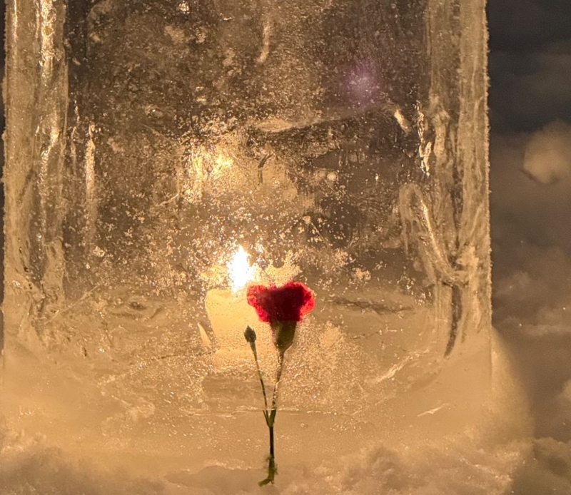 WhatsApp Image 2026-02-12 at 22.46.16