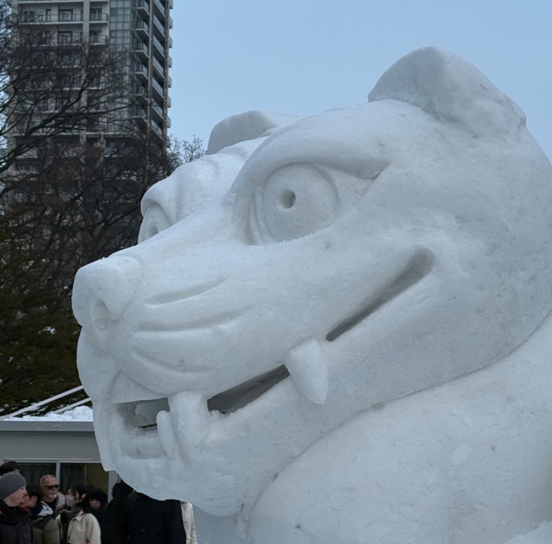 WhatsApp Image 2026-02-12 at 22.46.17 (1)