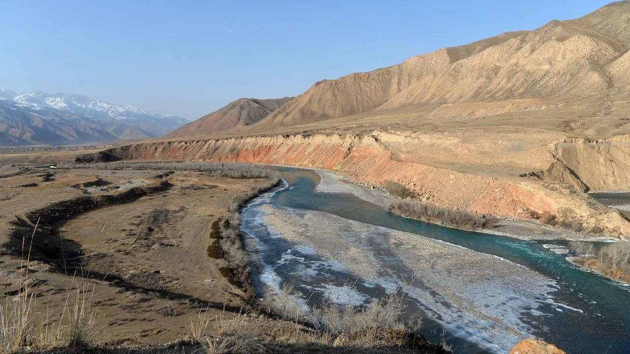 WhatsApp Image 2026-02-18 at 14.59.32.jpeg